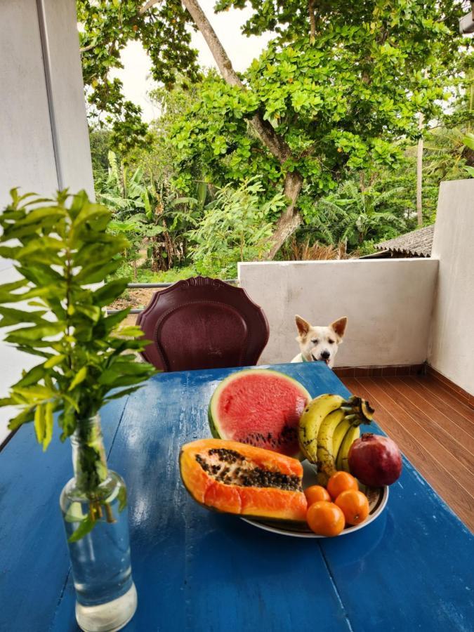 Appartamento King Coco House Dikwella Esterno foto